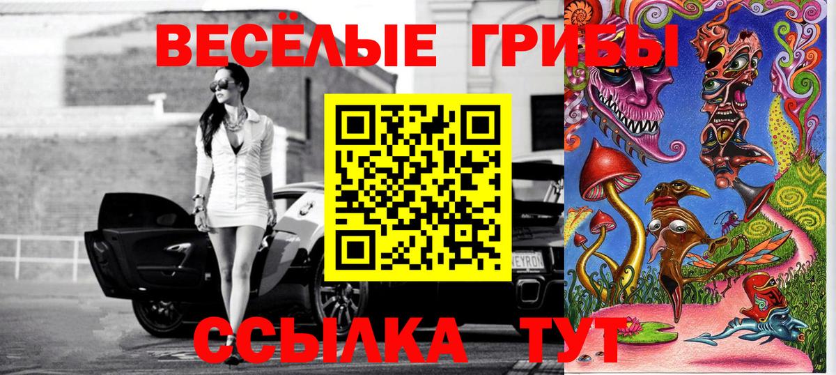 Псилоцибиновые грибы мицелий Луховицы