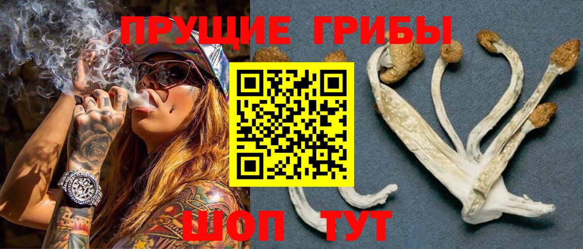 сколько стоит  Вход с VPN  Луховицы  Псилоцибиновые грибы прущие грибы  Галлюциногенные грибы Cubensis 