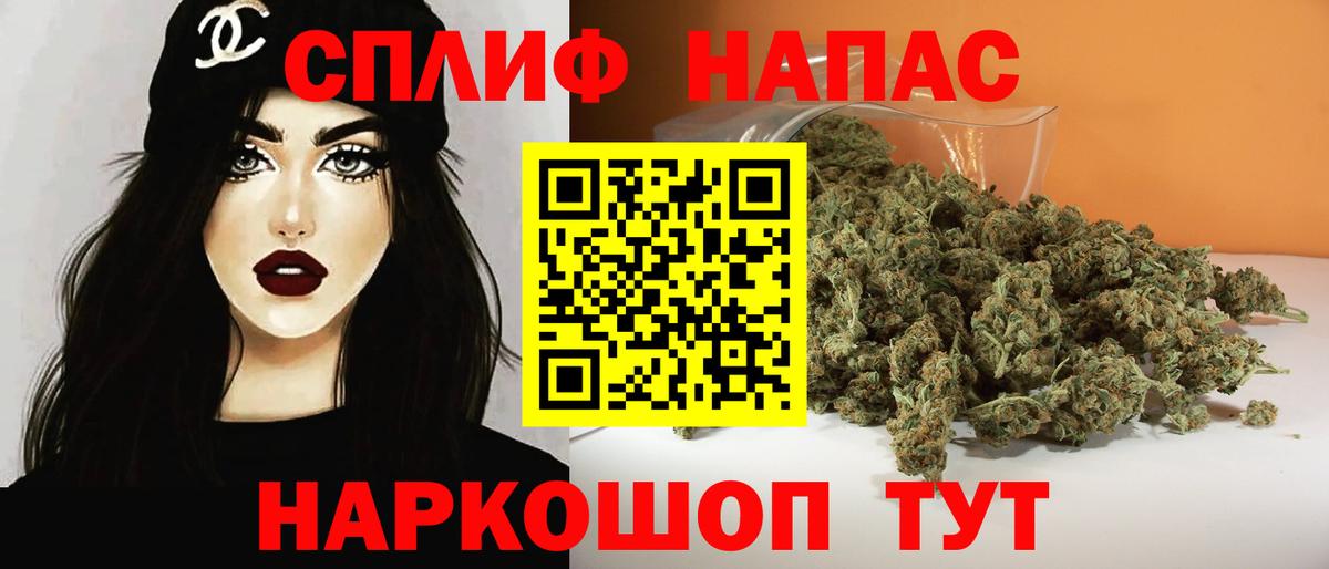 Бошки Шишки планчик Луховицы